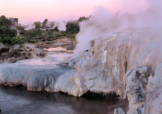 Te Puia Thermal Reserve, Pohutu geyser